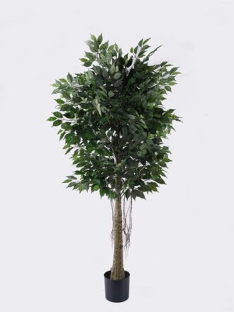 Artificial Tree 65*60*120cm Ficus microcarpa *12 in PP pot GS-30426017 2026Jul 3,000+ sqm showroom with thousands of artificial flowers, plants & trees ready for global sourcing.