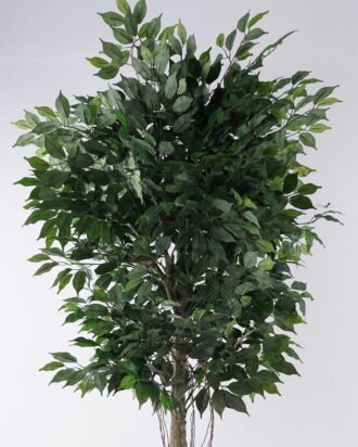 Artificial Tree 9*90*180cm Ficus microcarpa *2 in PP pot/1590 lvs GS-30426016 2026Jul 3,000+ sqm showroom with thousands of artificial flowers, plants & trees ready for global sourcing. Artificial Tree 9*90*180cm Ficus microcarpa *2 in PP pot/1590 lvs GS-30426016 2026Jul 3,000+ sqm showroom with thousands of artificial flowers, plants & trees ready for global sourcing.