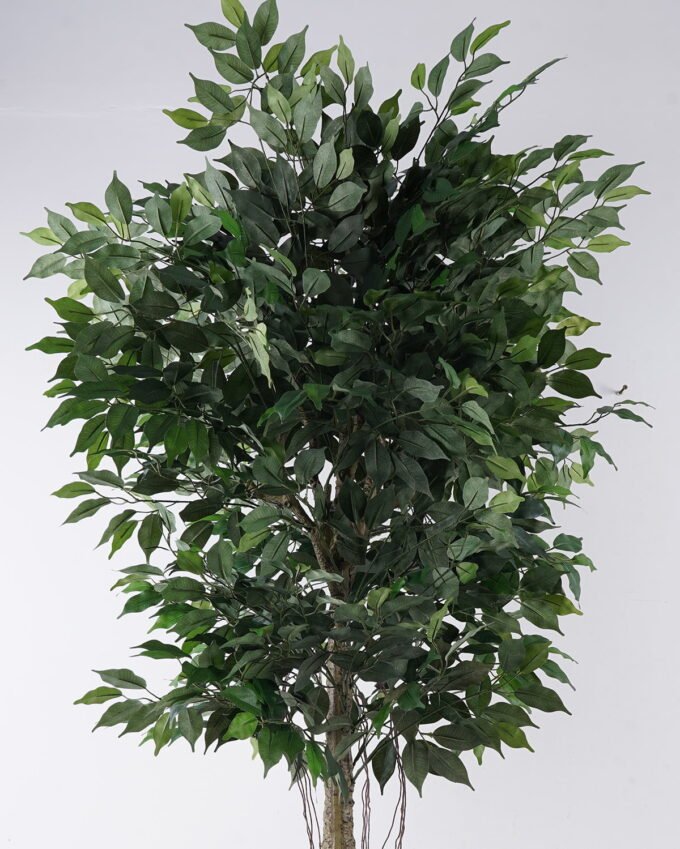 Artificial Tree Ficus microcarpa 2 in PP pot 1590 lvs GS-30426016_3 Artificial Tree 9*90*180cm Ficus microcarpa *2 in PP pot/1590 lvs GS-30426016 2026Jul 3,000+ sqm showroom with thousands of artificial flowers, plants & trees ready for global sourcing.