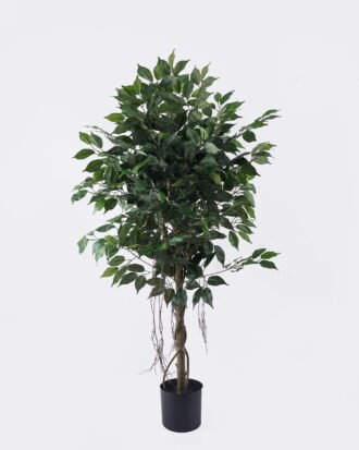 Artificial Tree 70*70*120cm Ficus microcarpa *2 in PP pot/798 lvs GS-30426014 2026Jul 3,000+ sqm showroom with thousands of artificial flowers, plants & trees ready for global sourcing. Artificial Tree 70*70*120cm Ficus microcarpa *2 in PP pot/798 lvs GS-30426014 2026Jul 3,000+ sqm showroom with thousands of artificial flowers, plants & trees ready for global sourcing.