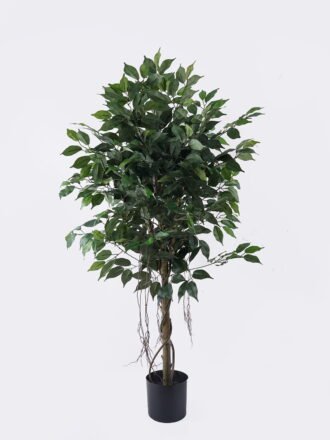Artificial Tree 80*80*150cm Ficus microcarpa *2 in PP pot /864 lvs GS-30426015 2026Jul 3,000+ sqm showroom with thousands of artificial flowers, plants & trees ready for global sourcing.
