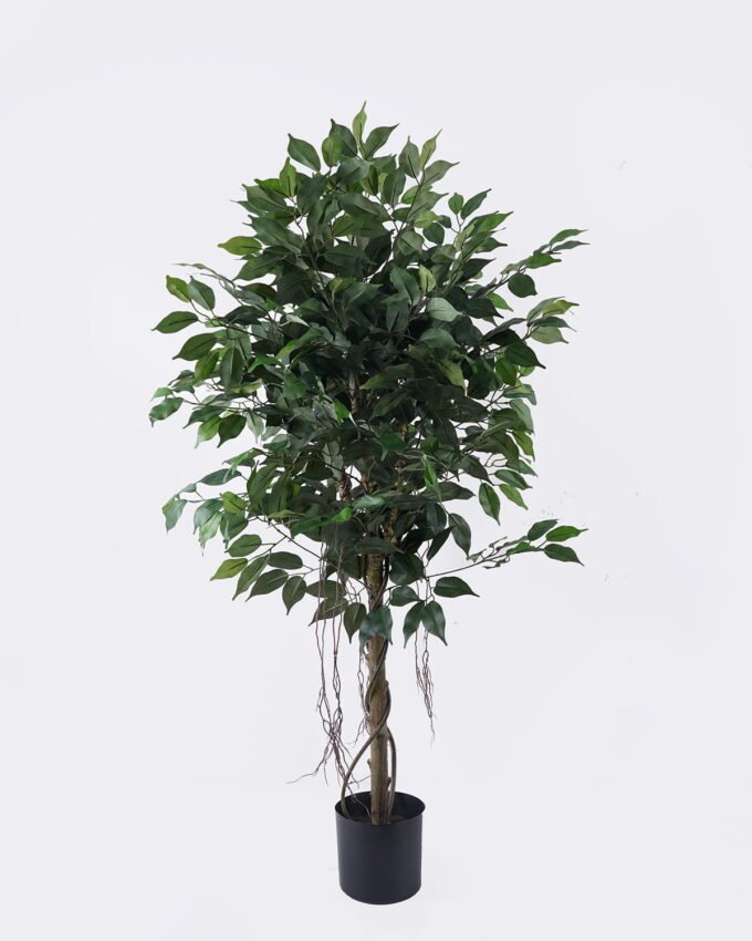 Artificial Tree 70*70*120cm Ficus microcarpa *2 in PP pot/798 lvs GS-30426014 2026Jul 3,000+ sqm showroom with thousands of artificial flowers, plants & trees ready for global sourcing.