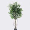 Artificial Tree Ficus microcarpa 2 in PP pot 864 lvs GS-30426015_4 Artificial Tree 80*80*150cm Ficus microcarpa *2 in PP pot /864 lvs GS-30426015 2026Jul 3,000+ sqm showroom with thousands of artificial flowers, plants & trees ready for global sourcing.