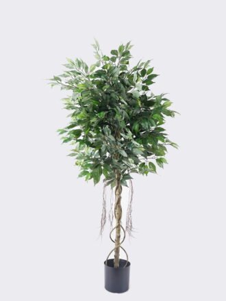 Artificial Tree 9*90*180cm Ficus microcarpa *2 in PP pot/1590 lvs GS-30426016 2026Jul 3,000+ sqm showroom with thousands of artificial flowers, plants & trees ready for global sourcing.