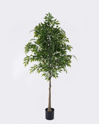 Artificial Tree 80*70*180cm Ficus microcarpa *24 in PP pot GS-30426019KD 2026Jul 3,000+ sqm showroom with thousands of artificial flowers, plants & trees ready for global sourcing. Artificial Tree 80*70*180cm Ficus microcarpa *24 in PP pot GS-30426019KD 2026Jul 3,000+ sqm showroom with thousands of artificial flowers, plants & trees ready for global sourcing.