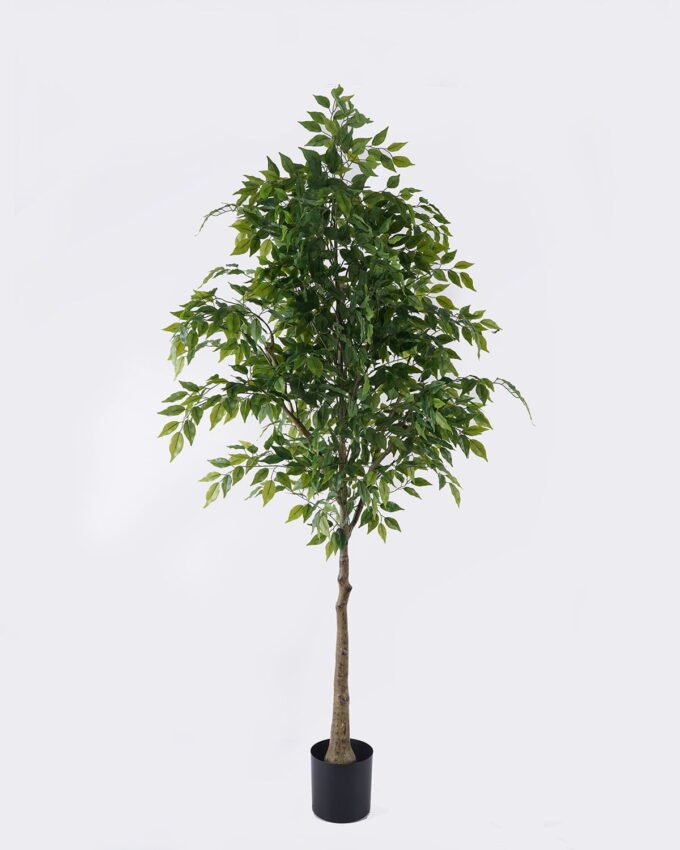 Artificial Tree 80*70*180cm Ficus microcarpa *24 in PP pot GS-30426019KD 2026Jul 3,000+ sqm showroom with thousands of artificial flowers, plants & trees ready for global sourcing.