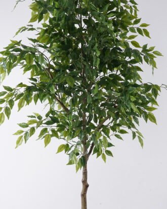 Artificial Tree 80*70*180cm Ficus microcarpa *24 in PP pot GS-30426019KD 2026Jul 3,000+ sqm showroom with thousands of artificial flowers, plants & trees ready for global sourcing. Artificial Tree 80*70*180cm Ficus microcarpa *24 in PP pot GS-30426019KD 2026Jul 3,000+ sqm showroom with thousands of artificial flowers, plants & trees ready for global sourcing.