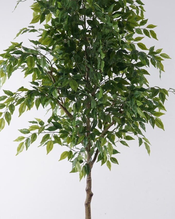 Artificial Tree 80*70*180cm Ficus microcarpa *24 in PP pot GS-30426019KD 2026Jul 3,000+ sqm showroom with thousands of artificial flowers, plants & trees ready for global sourcing.