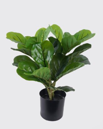 Artificial Tree 35*25*40cm Ficus microcarpa *3 in PP Pot/21 lvs GS-30426038 2026Jul 3,000+ sqm showroom with thousands of artificial flowers, plants & trees ready for global sourcing. Artificial Tree 35*25*40cm Ficus microcarpa *3 in PP Pot/21 lvs GS-30426038 2026Jul 3,000+ sqm showroom with thousands of artificial flowers, plants & trees ready for global sourcing.