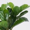 Artificial Tree 35*25*40cm Ficus microcarpa *3 in PP Pot/21 lvs GS-30426038 2026Jul 3,000+ sqm showroom with thousands of artificial flowers, plants & trees ready for global sourcing.