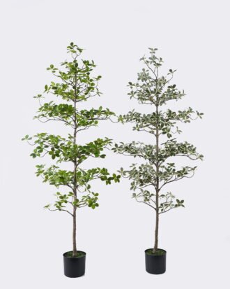 Artificial Tree 58*58*152cm Ficus microcarpa in PP pot GS-76126015KD 2026Aug 3,000+ sqm showroom with thousands of artificial flowers, plants & trees ready for global sourcing. Artificial Tree 58*58*152cm Ficus microcarpa in PP pot GS-76126015KD 2026Aug 3,000+ sqm showroom with thousands of artificial flowers, plants & trees ready for global sourcing.