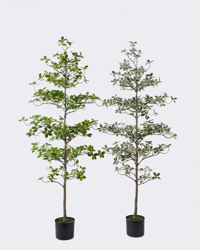 Artificial Tree 58*58*152cm Ficus microcarpa in PP pot GS-76126015KD 2026Aug 3,000+ sqm showroom with thousands of artificial flowers, plants & trees ready for global sourcing.