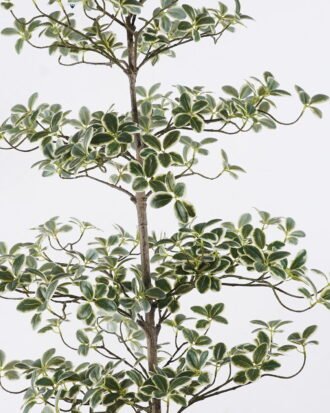 Artificial Tree 58*58*152cm Ficus microcarpa in PP pot GS-76126015KD 2026Aug 3,000+ sqm showroom with thousands of artificial flowers, plants & trees ready for global sourcing. Artificial Tree 58*58*152cm Ficus microcarpa in PP pot GS-76126015KD 2026Aug 3,000+ sqm showroom with thousands of artificial flowers, plants & trees ready for global sourcing.