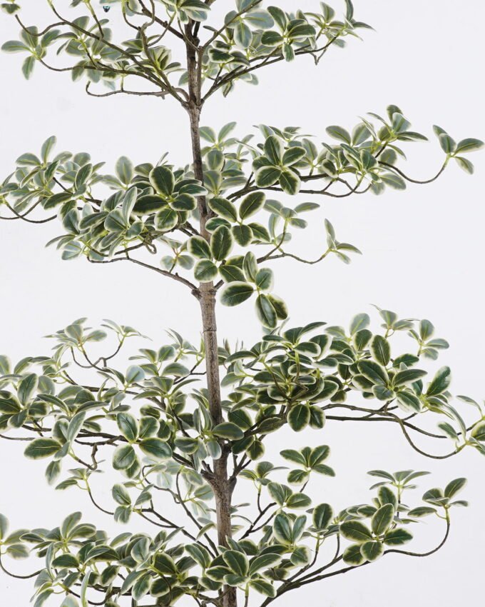 Artificial Tree 58*58*152cm Ficus microcarpa in PP pot GS-76126015KD 2026Aug 3,000+ sqm showroom with thousands of artificial flowers, plants & trees ready for global sourcing.