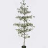 Artificial Tree 58*58*152cm Ficus microcarpa in PP pot GS-76126015KD 2026Aug 3,000+ sqm showroom with thousands of artificial flowers, plants & trees ready for global sourcing.