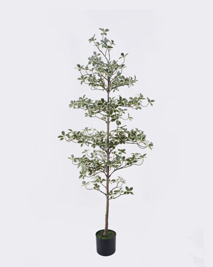 Artificial Tree 58*58*152cm Ficus microcarpa in PP pot GS-76126015KD 2026Aug 3,000+ sqm showroom with thousands of artificial flowers, plants & trees ready for global sourcing.