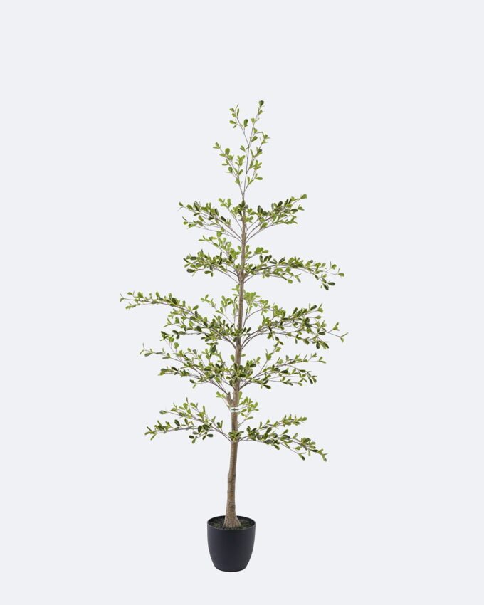 Artificial Tree 58*58*152cm Ficus microcarpa in PP pot GS-76126015KD 2026Aug 3,000+ sqm showroom with thousands of artificial flowers, plants & trees ready for global sourcing.