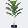 Artificial Tree Fiddle Ficus in PP pot 14 lvs GS-59526035 Artificial Tree 48*46*100cm Fiddle Ficus in PP pot/14 lvs GS-59526035 2026Aug 3,000+ sqm showroom with thousands of artificial flowers, plants & trees ready for global sourcing.