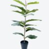 Artificial Tree Fiddle Ficus in PP pot 16 lvs GS-59526030 Artificial Tree 44*44*80cm Fiddle Ficus in PP pot/16 lvs GS-59526030 2026Aug 3,000+ sqm showroom with thousands of artificial flowers, plants & trees ready for global sourcing.