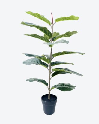 Artificial Tree 44*44*80cm Fiddle Ficus in PP pot/16 lvs GS-59526030 2026Aug 3,000+ sqm showroom with thousands of artificial flowers, plants & trees ready for global sourcing. Artificial Tree 44*44*80cm Fiddle Ficus in PP pot/16 lvs GS-59526030 2026Aug 3,000+ sqm showroom with thousands of artificial flowers, plants & trees ready for global sourcing.