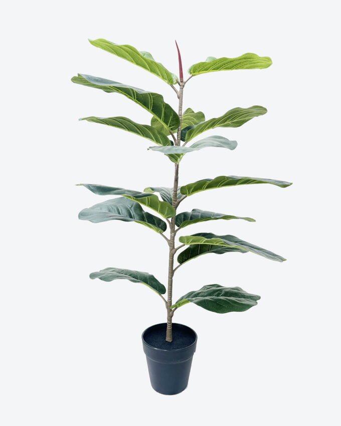 Artificial Tree 44*44*80cm Fiddle Ficus in PP pot/16 lvs GS-59526030 2026Aug 3,000+ sqm showroom with thousands of artificial flowers, plants & trees ready for global sourcing.