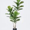 Artificial Tree 65*55*160cm Fiddle Ficus in PP pot/42 lvs GS-59526036 2026Aug 3,000+ sqm showroom with thousands of artificial flowers, plants & trees ready for global sourcing.