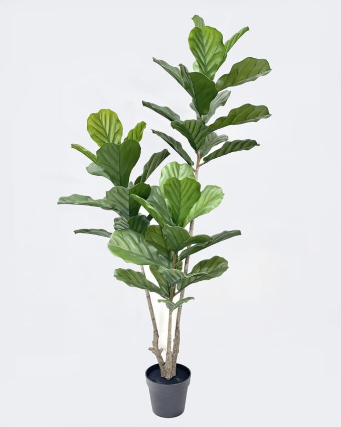 Artificial Tree 65*55*160cm Fiddle Ficus in PP pot/42 lvs GS-59526036 2026Aug 3,000+ sqm showroom with thousands of artificial flowers, plants & trees ready for global sourcing.