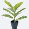 Artificial Tree Fiddle Ficus in PP pot 9 lvs GS-59526029 Artificial Tree 33*33*40cm Fiddle Ficus in PP pot/9 lvs GS-59526029 2026Aug 3,000+ sqm showroom with thousands of artificial flowers, plants & trees ready for global sourcing.