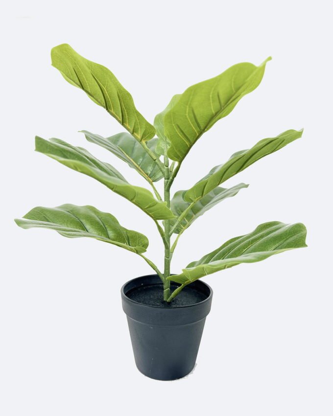 Artificial Tree 33*33*40cm Fiddle Ficus in PP pot/9 lvs GS-59526029 2026Aug 3,000+ sqm showroom with thousands of artificial flowers, plants & trees ready for global sourcing.