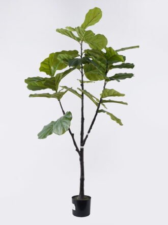Artificial Tree 88*66*150cm Fiddle-leaf fig tree in PP pot GS-76126011KD 2026Aug 3,000+ sqm showroom with thousands of artificial flowers, plants & trees ready for global sourcing.