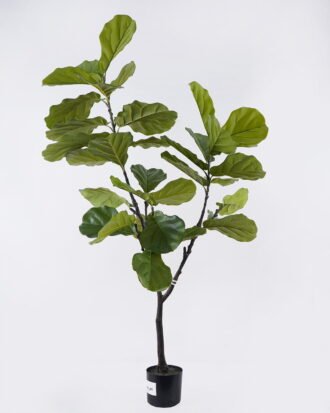 Artificial Tree 88*66*150cm Fiddle-leaf fig tree in PP pot GS-76126011KD 2026Aug 3,000+ sqm showroom with thousands of artificial flowers, plants & trees ready for global sourcing. Artificial Tree 88*66*150cm Fiddle-leaf fig tree in PP pot GS-76126011KD 2026Aug 3,000+ sqm showroom with thousands of artificial flowers, plants & trees ready for global sourcing.