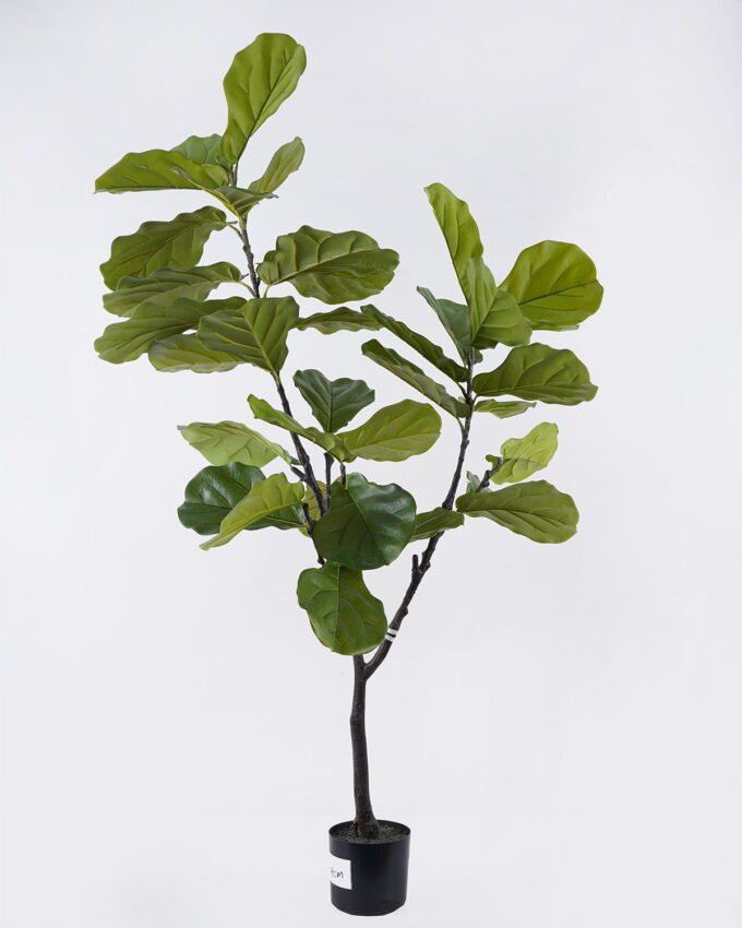 Artificial Tree 88*66*150cm Fiddle-leaf fig tree in PP pot GS-76126011KD 2026Aug 3,000+ sqm showroom with thousands of artificial flowers, plants & trees ready for global sourcing.