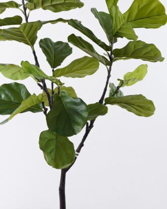 Artificial Tree 88*66*150cm Fiddle-leaf fig tree in PP pot GS-76126011KD 2026Aug 3,000+ sqm showroom with thousands of artificial flowers, plants & trees ready for global sourcing. Artificial Tree 88*66*150cm Fiddle-leaf fig tree in PP pot GS-76126011KD 2026Aug 3,000+ sqm showroom with thousands of artificial flowers, plants & trees ready for global sourcing.