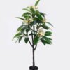 Artificial Tree 62*40*120cm Frangipani *5 in PP pot/70 lvs GS-30426059 2026Jul 3,000+ sqm showroom with thousands of artificial flowers, plants & trees ready for global sourcing.