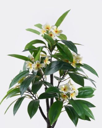 Artificial Tree 62*40*120cm Frangipani *5 in PP pot/70 lvs GS-30426059 2026Jul 3,000+ sqm showroom with thousands of artificial flowers, plants & trees ready for global sourcing. Artificial Tree 62*40*120cm Frangipani *5 in PP pot/70 lvs GS-30426059 2026Jul 3,000+ sqm showroom with thousands of artificial flowers, plants & trees ready for global sourcing.