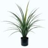 Artificial Tree 60*60*80cm Grass in PP pot/24 lvs GS-59526017 2026Aug 3,000+ sqm showroom with thousands of artificial flowers, plants & trees ready for global sourcing.