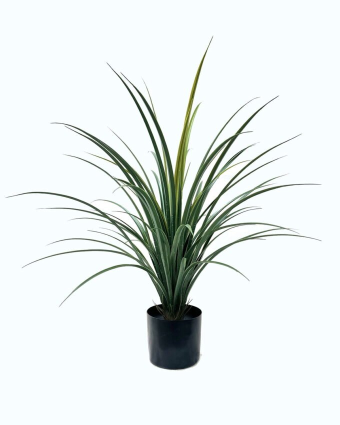 Artificial Tree 60*60*80cm Grass in PP pot/24 lvs GS-59526017 2026Aug 3,000+ sqm showroom with thousands of artificial flowers, plants & trees ready for global sourcing.