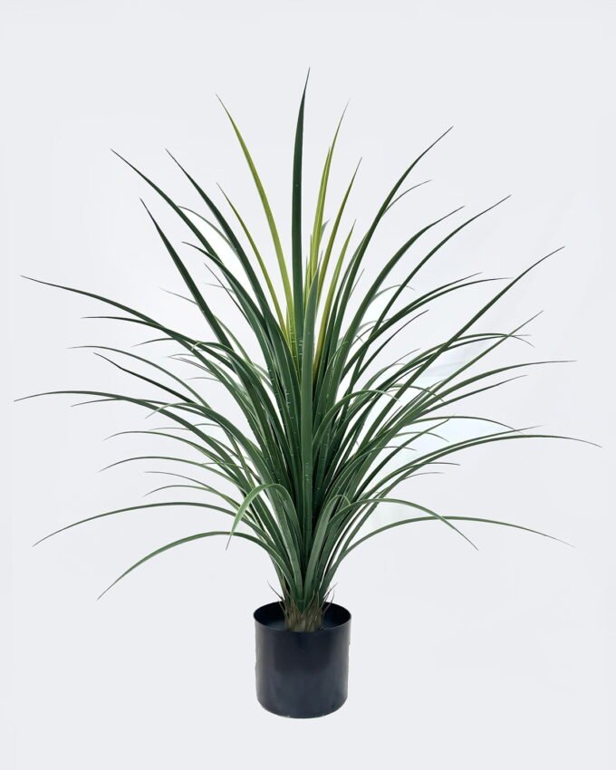 Artificial Tree 60*60*90cm Grass in PP pot/35 lvs GS-59526018 2026Aug 3,000+ sqm showroom with thousands of artificial flowers, plants & trees ready for global sourcing.