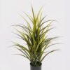 Artificial Tree Grass in PP pot GS-02226011 Artificial Tree 50*50*90cm Grass in PP pot GS-02226011 2026Jun 3,000+ sqm showroom with thousands of artificial flowers, plants & trees ready for global sourcing.