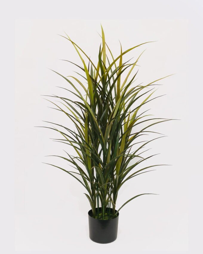 Artificial Tree 50*50*120cm Grass in PP pot GS-02226012 2026Jun 3,000+ sqm showroom with thousands of artificial flowers, plants & trees ready for global sourcing.
