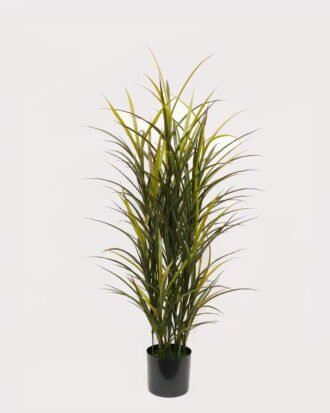 Artificial Tree 50*50*150cm Grass in PP pot GS-02226013 2026Jun 3,000+ sqm showroom with thousands of artificial flowers, plants & trees ready for global sourcing. Artificial Tree 50*50*150cm Grass in PP pot GS-02226013 2026Jun 3,000+ sqm showroom with thousands of artificial flowers, plants & trees ready for global sourcing.