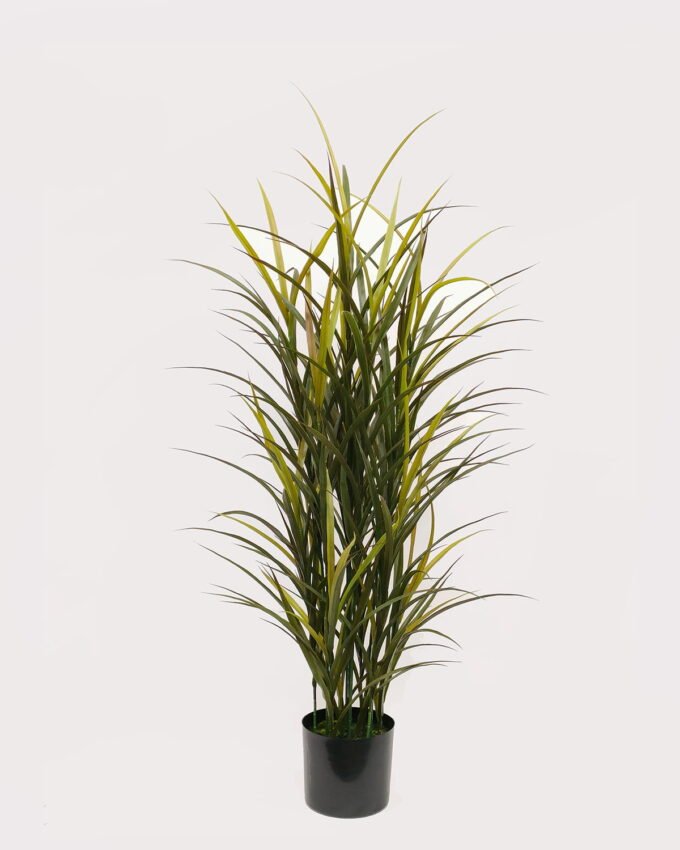 Artificial Tree 50*50*150cm Grass in PP pot GS-02226013 2026Jun 3,000+ sqm showroom with thousands of artificial flowers, plants & trees ready for global sourcing.