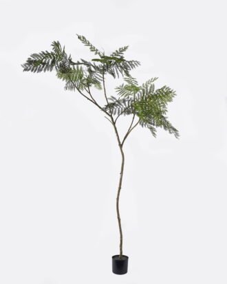 Artificial Tree 110*60*210cm Jacaranda tree in PP pot GS-76126009KD 2026Aug 3,000+ sqm showroom with thousands of artificial flowers, plants & trees ready for global sourcing. Artificial Tree 110*60*210cm Jacaranda tree in PP pot GS-76126009KD 2026Aug 3,000+ sqm showroom with thousands of artificial flowers, plants & trees ready for global sourcing.