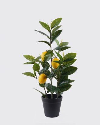 Artificial Tree 25*25*45cm LEMON tree *3 in PP pot/57 lvs GS-30426040 2026Jul 3,000+ sqm showroom with thousands of artificial flowers, plants & trees ready for global sourcing. Artificial Tree 25*25*45cm LEMON tree *3 in PP pot/57 lvs GS-30426040 2026Jul 3,000+ sqm showroom with thousands of artificial flowers, plants & trees ready for global sourcing.
