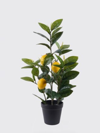 Artificial Tree 25*18*45cm Orange tree *3 in PP pot/57 lvs GS-30426039 2026Jul 3,000+ sqm showroom with thousands of artificial flowers, plants & trees ready for global sourcing.