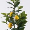 Artificial Tree LEMON tree 3 in PP pot 57 lvs GS-30426040_5 Artificial Tree 25*25*45cm LEMON tree *3 in PP pot/57 lvs GS-30426040 2026Jul 3,000+ sqm showroom with thousands of artificial flowers, plants & trees ready for global sourcing.