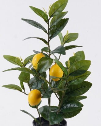 Artificial Tree 25*25*45cm LEMON tree *3 in PP pot/57 lvs GS-30426040 2026Jul 3,000+ sqm showroom with thousands of artificial flowers, plants & trees ready for global sourcing. Artificial Tree 25*25*45cm LEMON tree *3 in PP pot/57 lvs GS-30426040 2026Jul 3,000+ sqm showroom with thousands of artificial flowers, plants & trees ready for global sourcing.