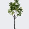 Artificial Tree Leaf in PP pot GS-46726007KD_1 Artificial Tree 95*95*210cm Leaf in PP pot GS-46726007KD 2026Aug 3,000+ sqm showroom with thousands of artificial flowers, plants & trees ready for global sourcing.