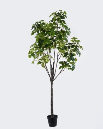 Artificial Tree 95*95*210cm Leaf in PP pot GS-46726007KD 2026Aug 3,000+ sqm showroom with thousands of artificial flowers, plants & trees ready for global sourcing. Artificial Tree 95*95*210cm Leaf in PP pot GS-46726007KD 2026Aug 3,000+ sqm showroom with thousands of artificial flowers, plants & trees ready for global sourcing.