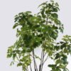 Artificial Tree Leaf in PP pot GS-46726007KD_6 Artificial Tree 95*95*210cm Leaf in PP pot GS-46726007KD 2026Aug 3,000+ sqm showroom with thousands of artificial flowers, plants & trees ready for global sourcing.